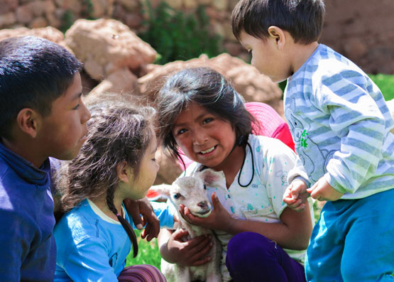 Post-Construction Cleanup